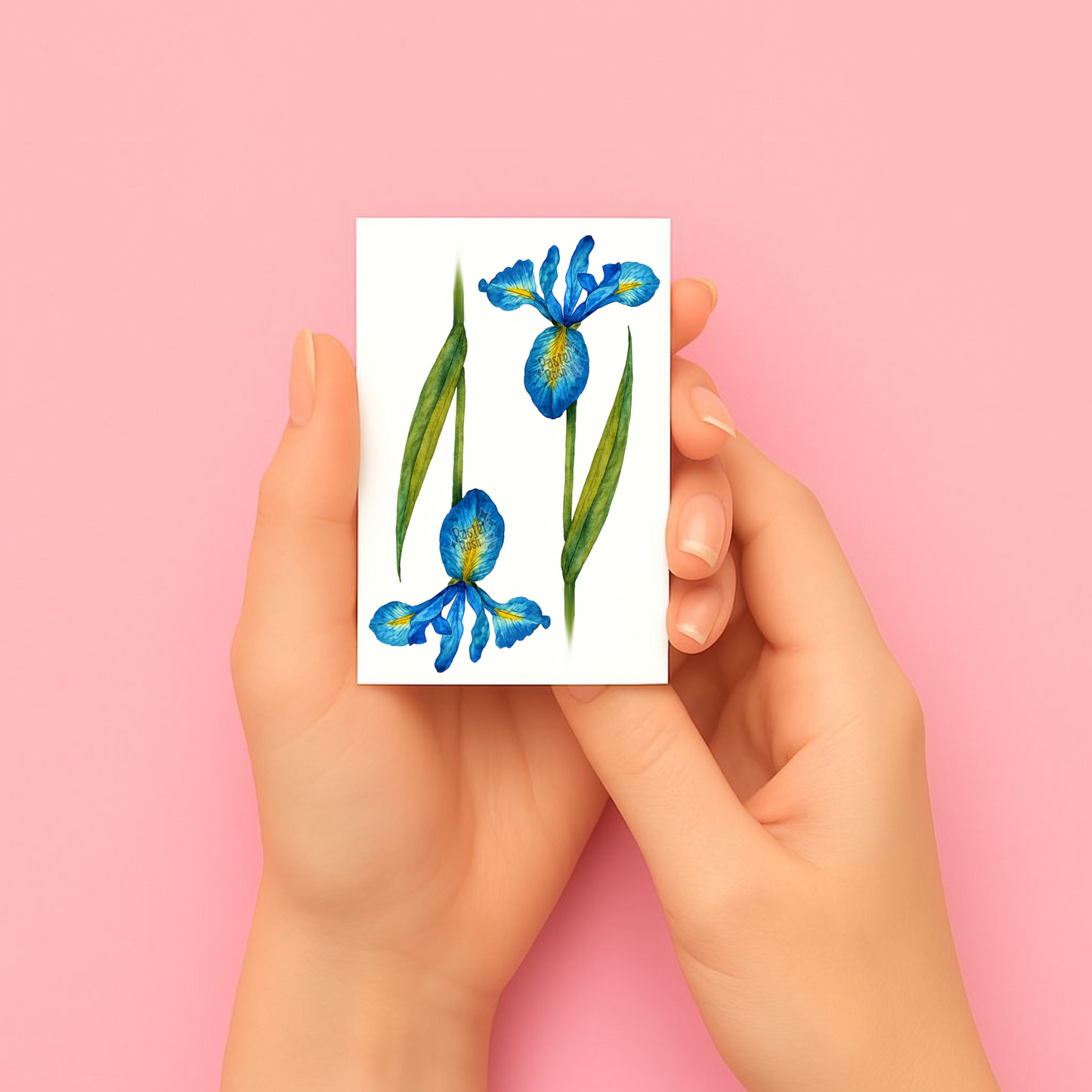 Blushwater | Temporary Tattoo