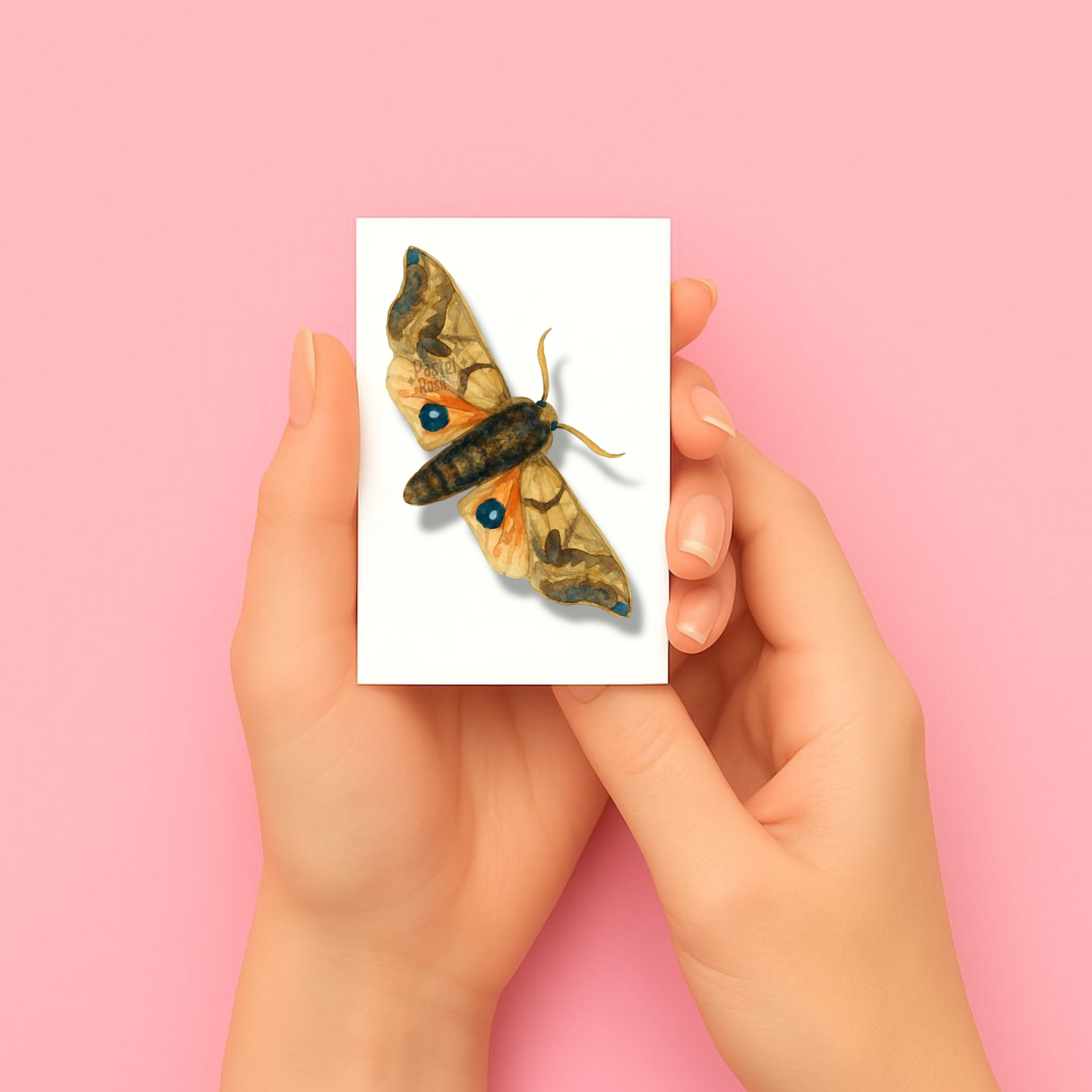Moonshadow Moths | Temporary Tattoo