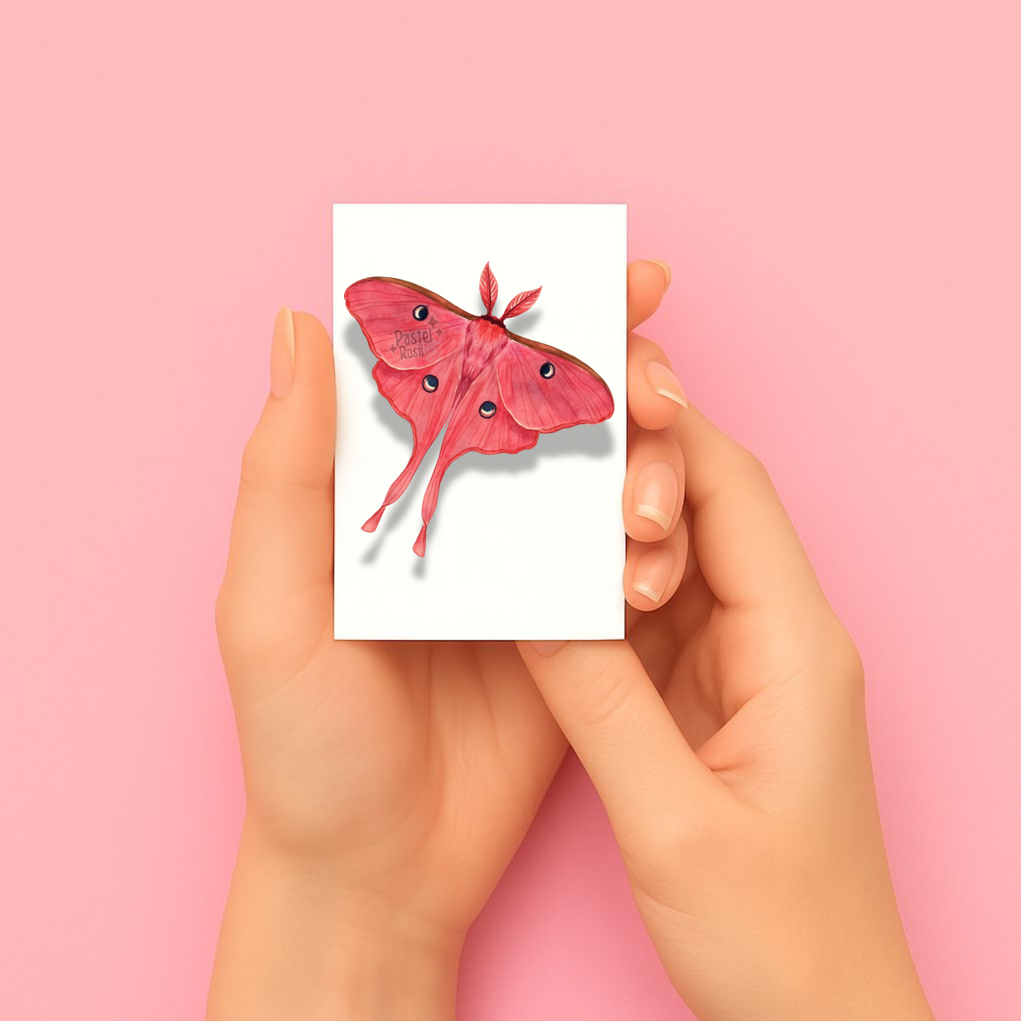Moonshadow Moths | Temporary Tattoo