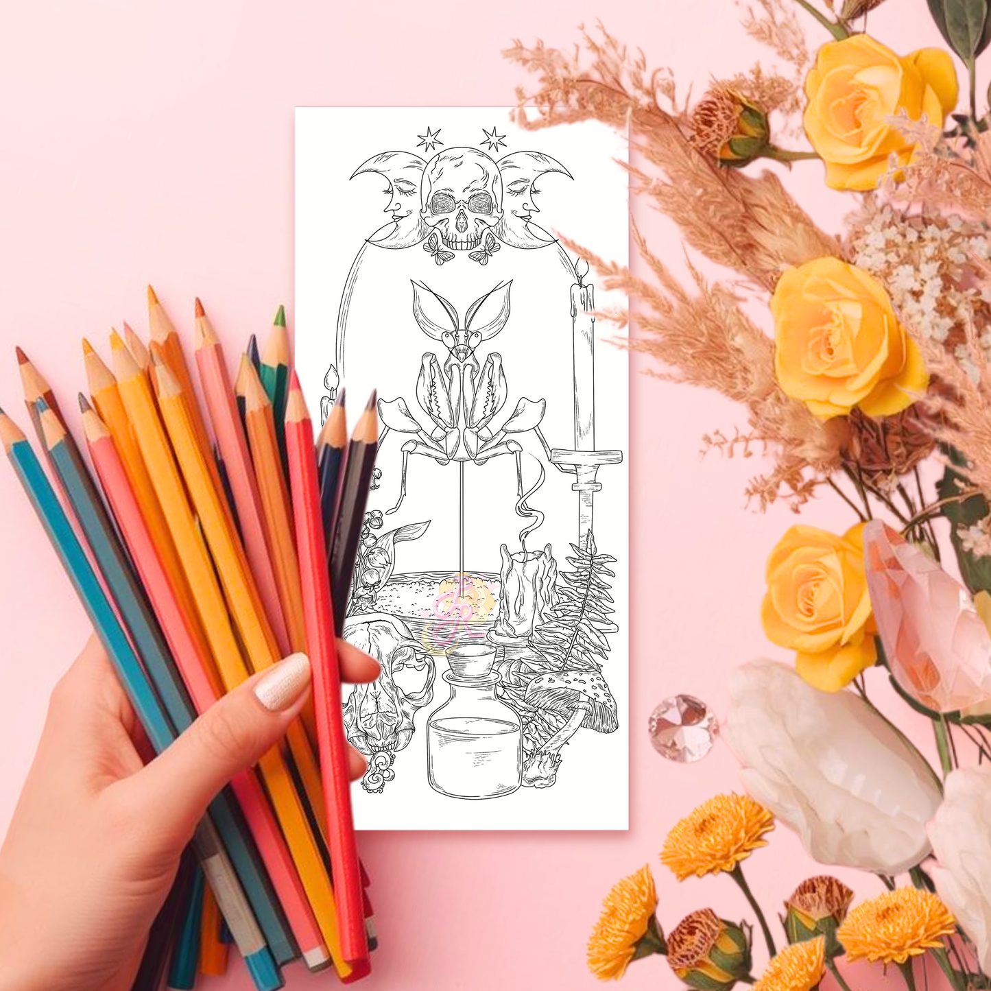 Witches Specimen | Pre Colour Temporary Tattoo