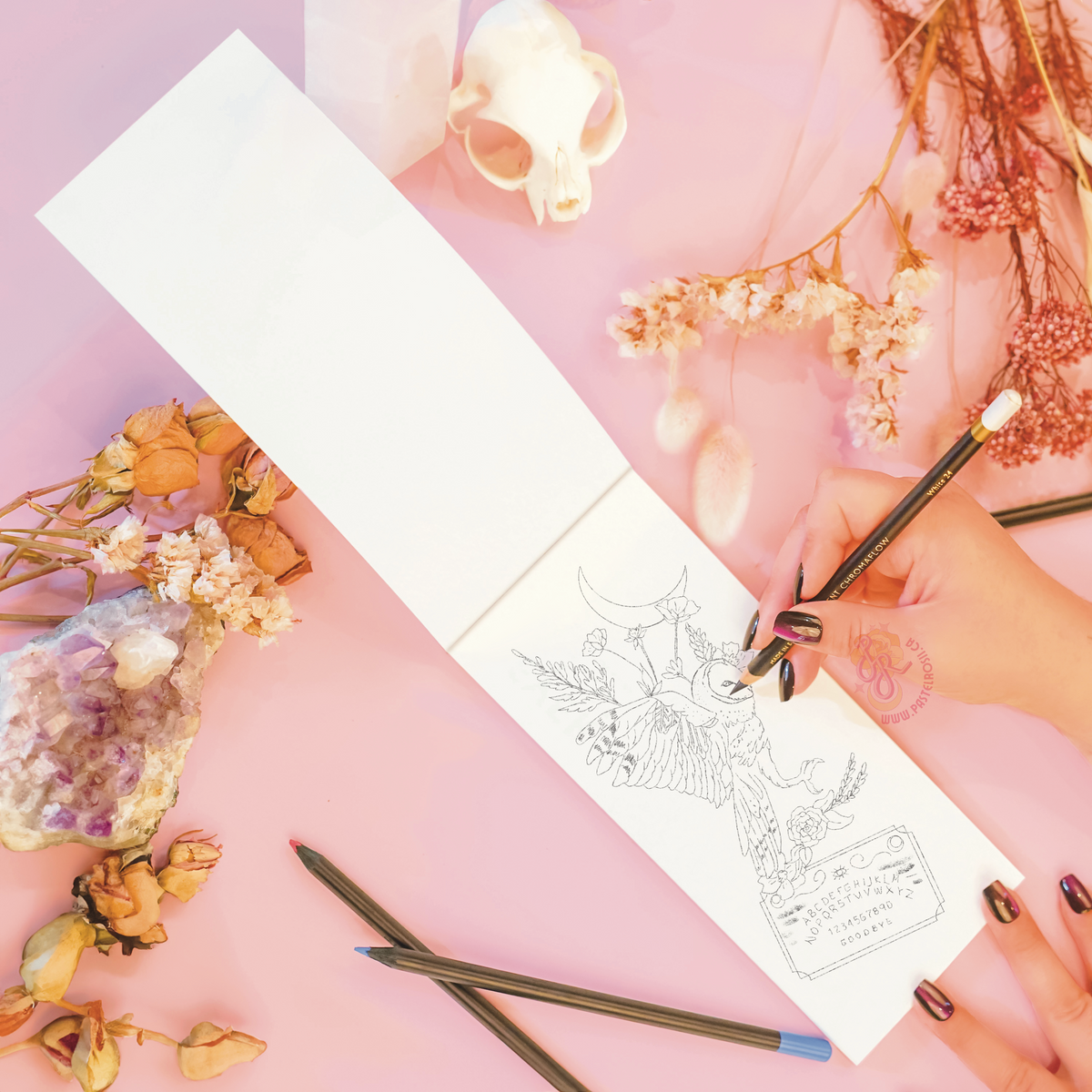Temporary Tattoo Sketchbook & Sheets | Pre Order
