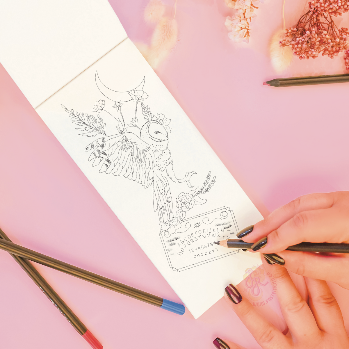 Temporary Tattoo Sketchbook & Sheets | Pre Order