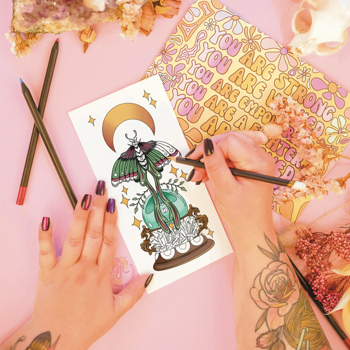 Future of the Moth | Temporary Tattoo