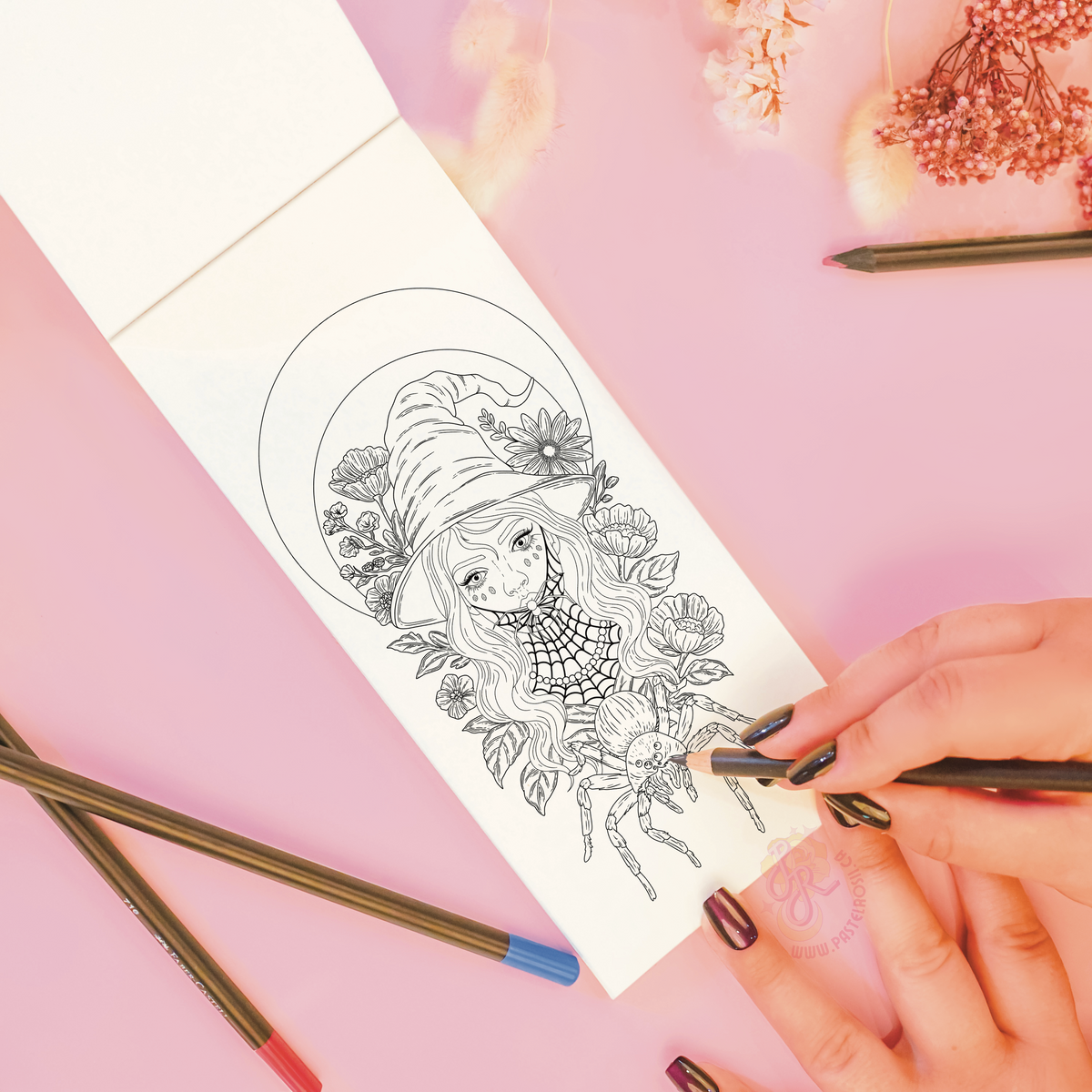 The Coven Colouring Book
