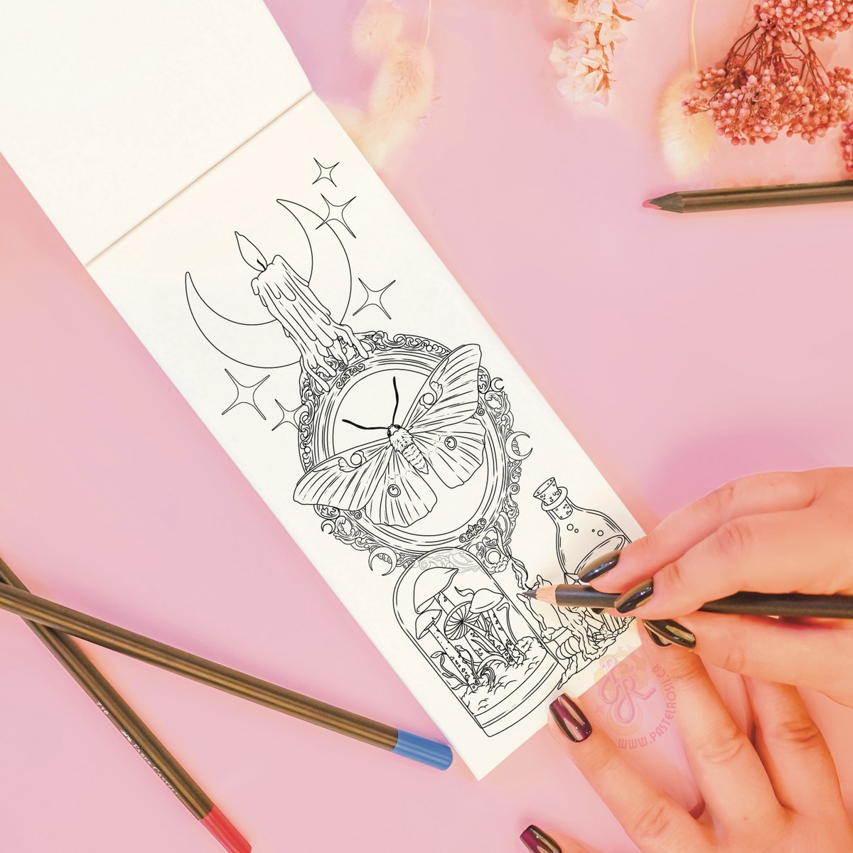 Bug Hunting Colouring Book