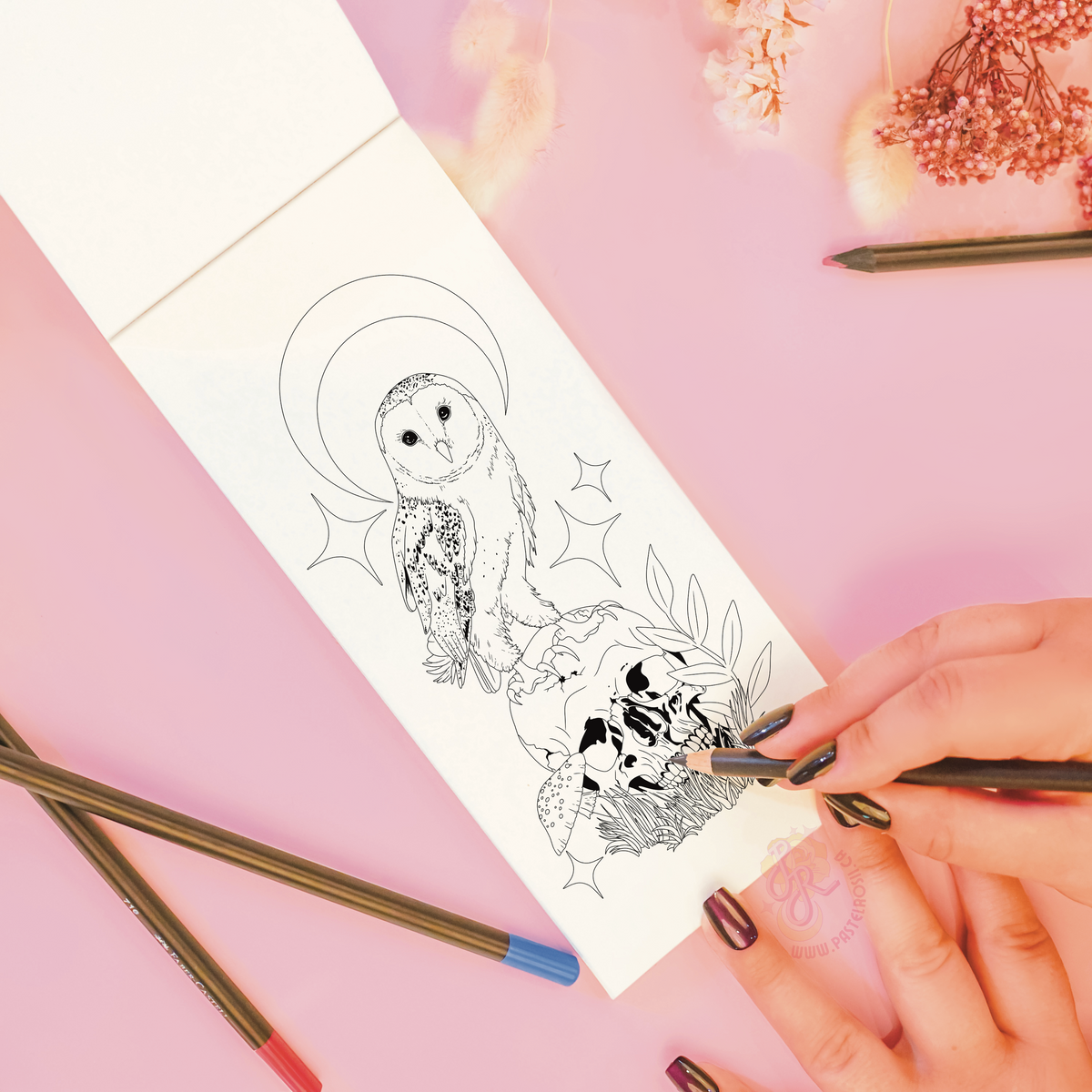 Reclaimed by Nature Colouring Book