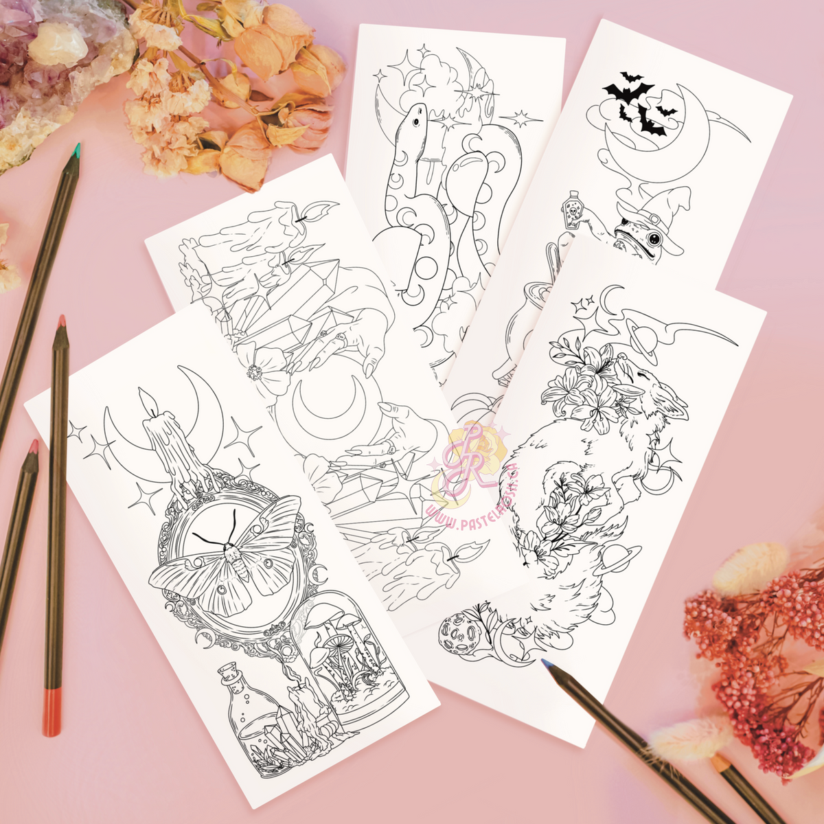 The Coven Colouring Book