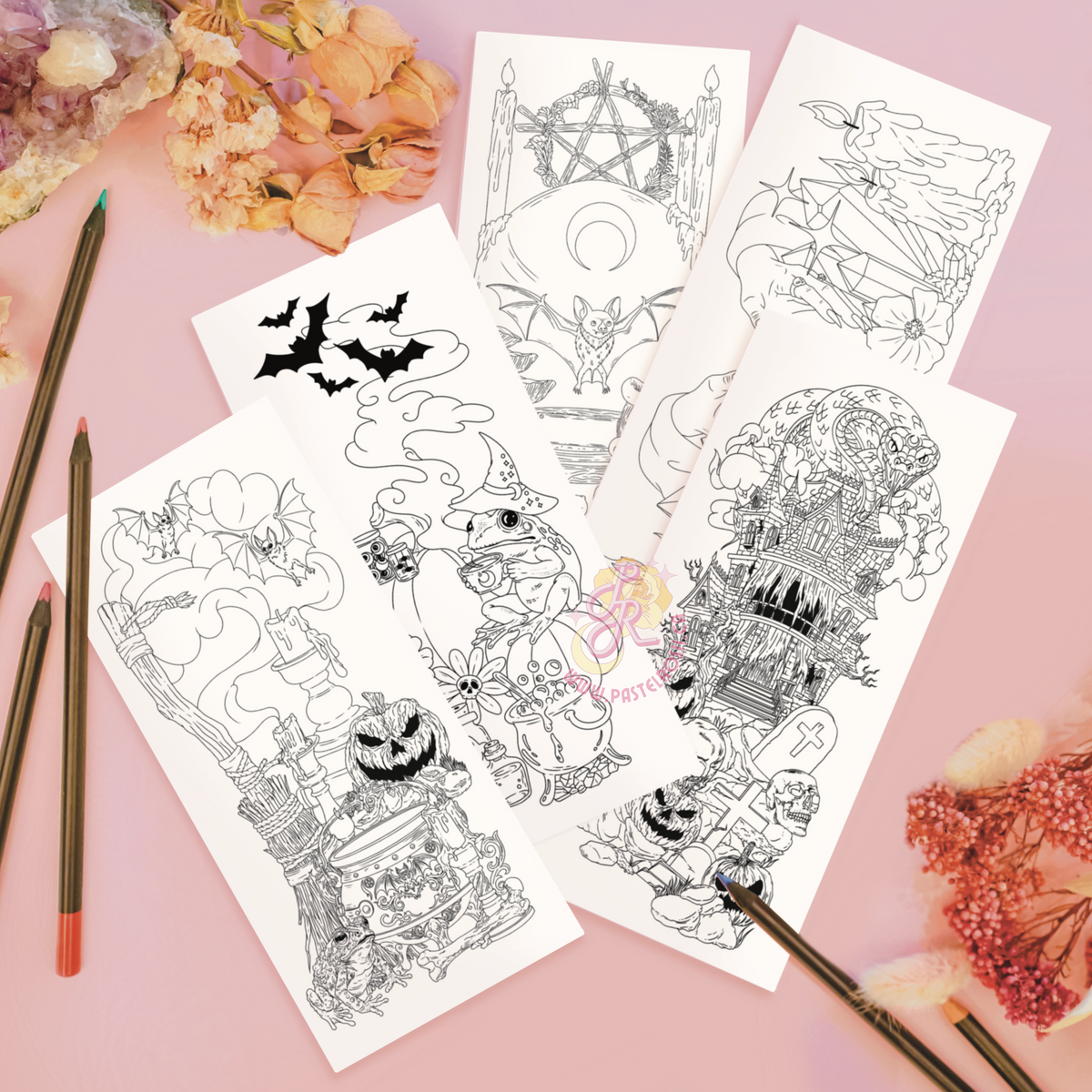 Spooky Bitch Colouring Book