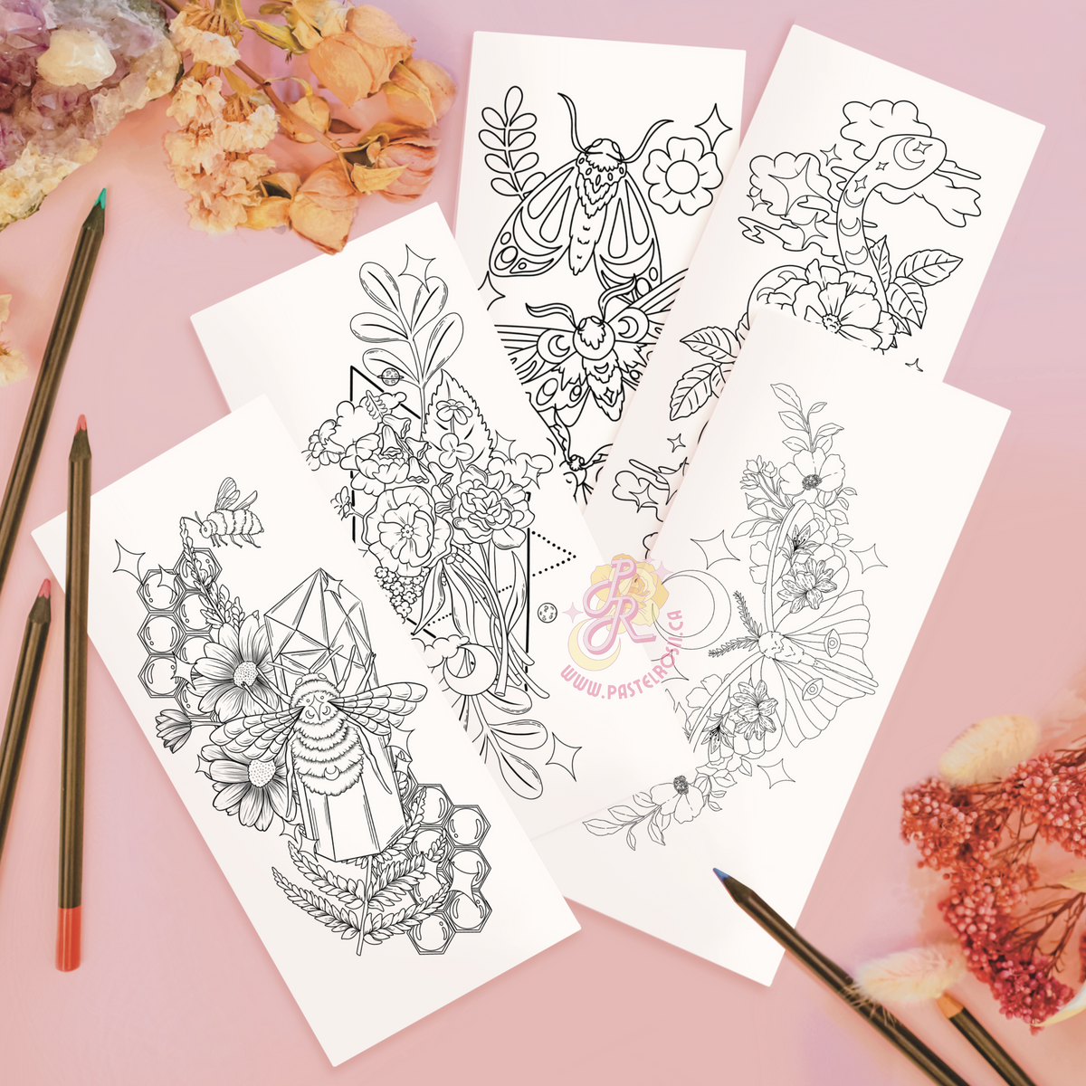 In the Garden Colouring Book