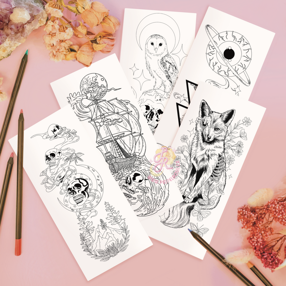 Reclaimed by Nature Colouring Book